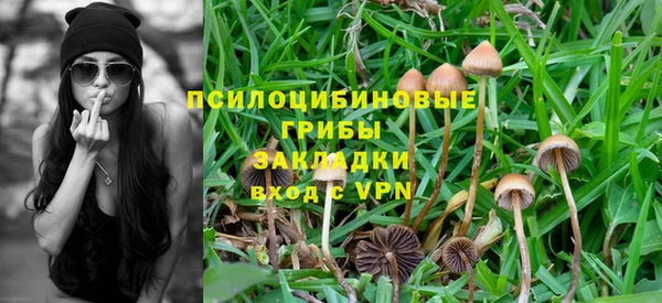прущая мука Белоозёрский