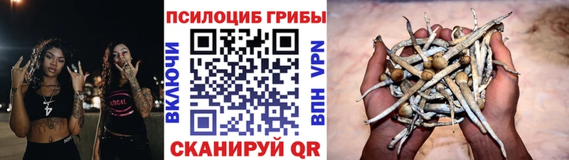 Галлюциногенные грибы Magic Shrooms  Брюховецкая 